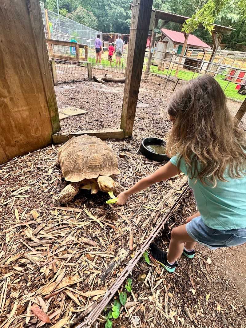 North Georgia Wildlife Park
