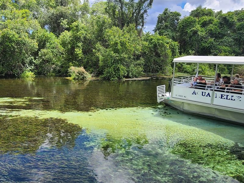 Scenic Wilderness River Boat Tour