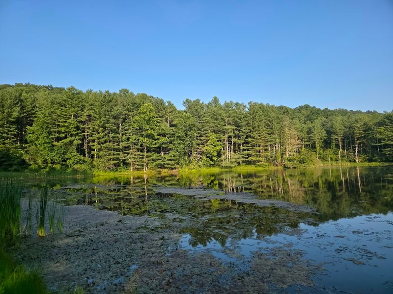 A Sanctuary For Appalachian Wildlife