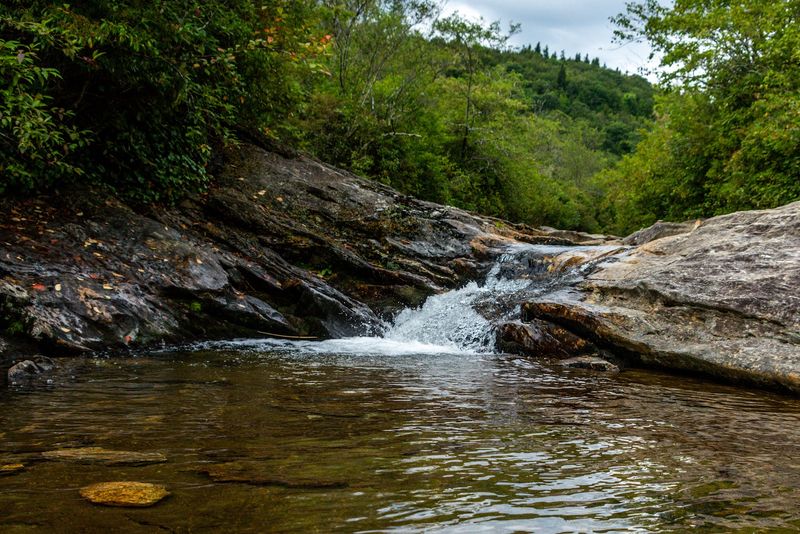 Graveyard Fields, Haywood County