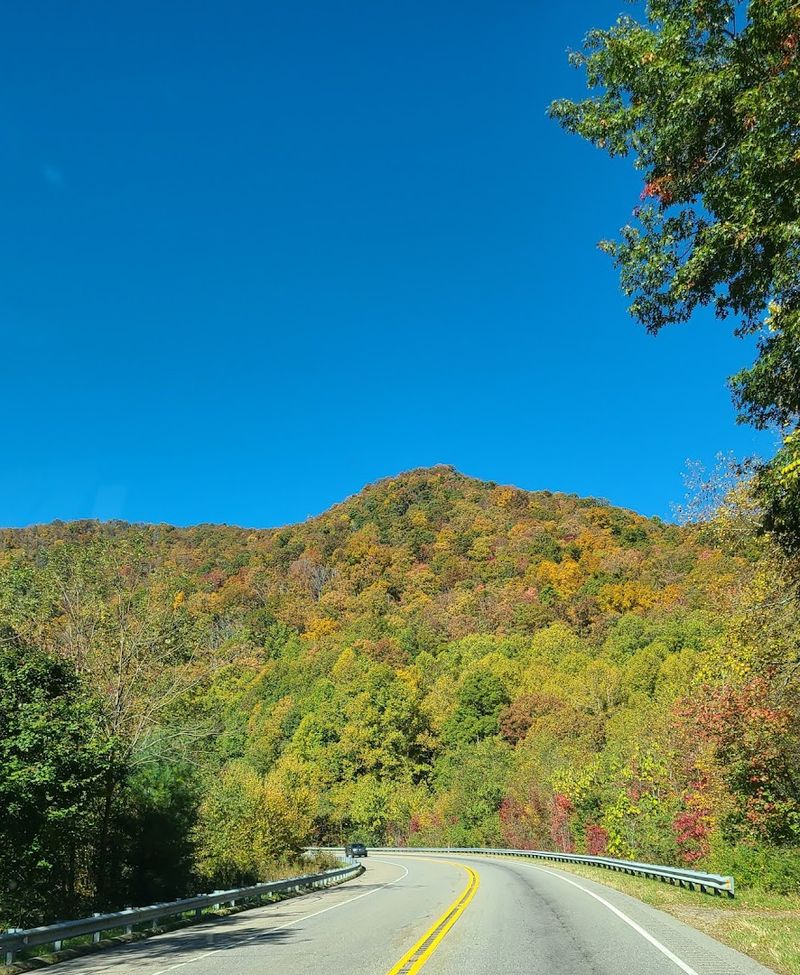 Shooting Creek Road