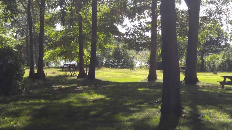 Dighton Rock State Park