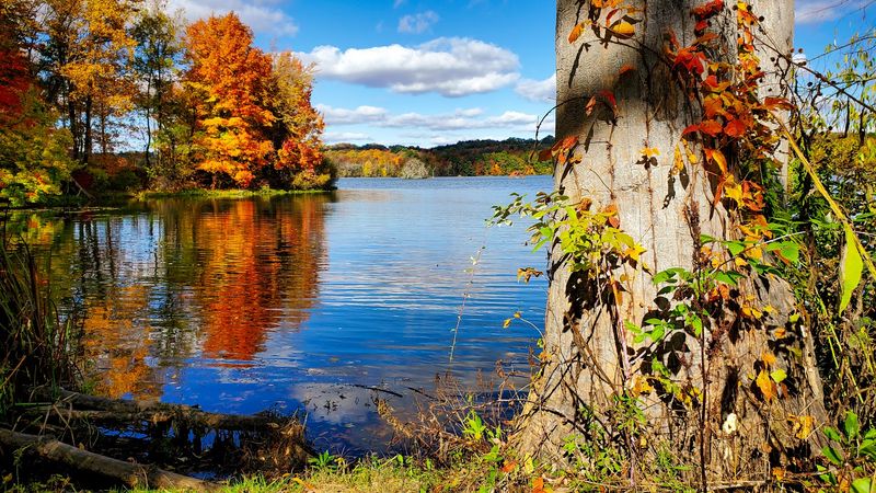 Clear Fork Reservoir