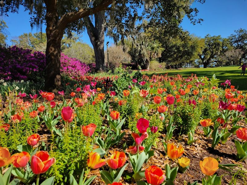 Airlie Gardens &ndash; Wilmington