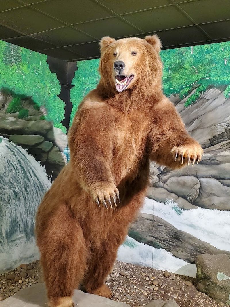 Schiele Museum of Natural History (Gastonia)