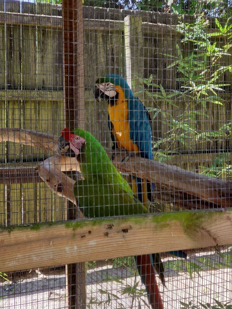 A Destination Shaped By Animal Care Conversations