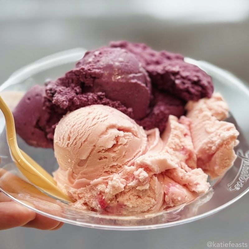 Graeter's Ice Cream - Black Raspberry Chocolate Chip