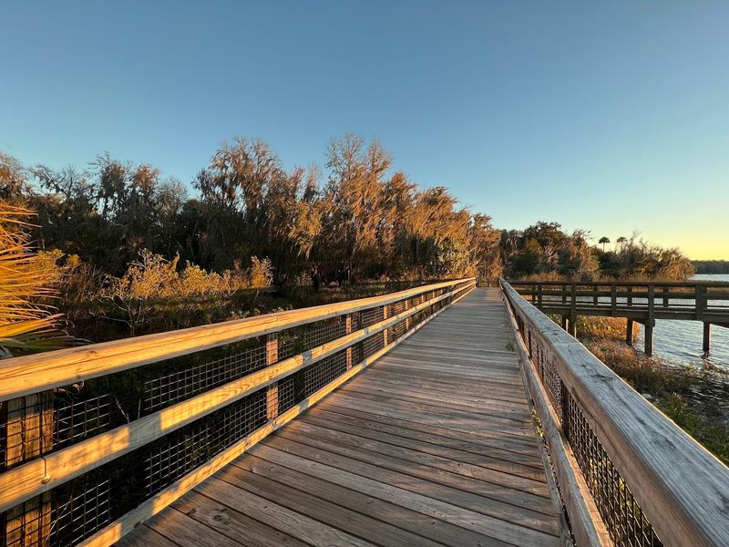 Paynes Prairie Preserve State Park