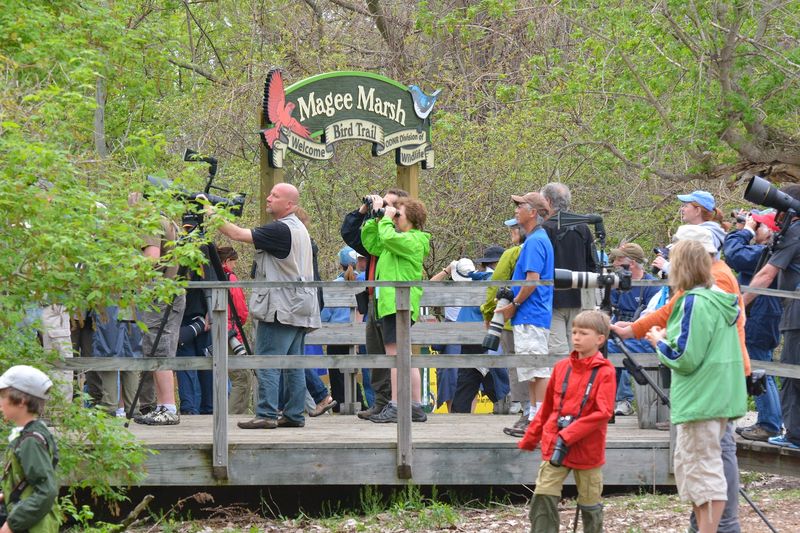 Biggest Week in American Birding