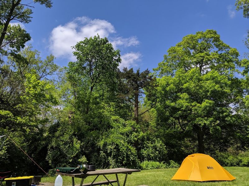 Camping Under The Buckeye Stars