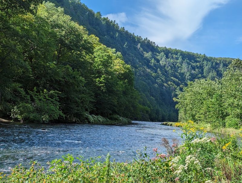 Colton Point State Park (Tioga County)