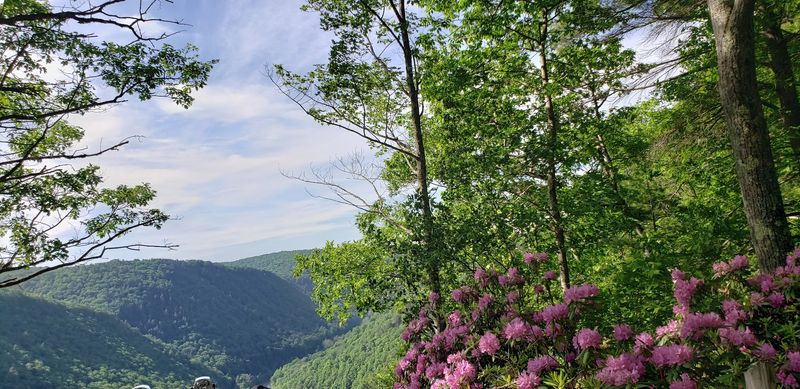 Pine Creek Gorge / Colton Point State Park (Tioga County)