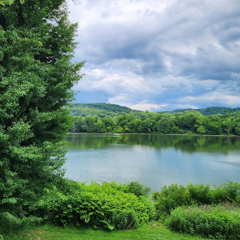 The Magnitude Of Wayne National Forest
