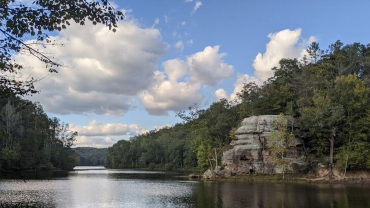 Ohio&rsquo;s Largest National Forest Feels Completely Untouched By Time