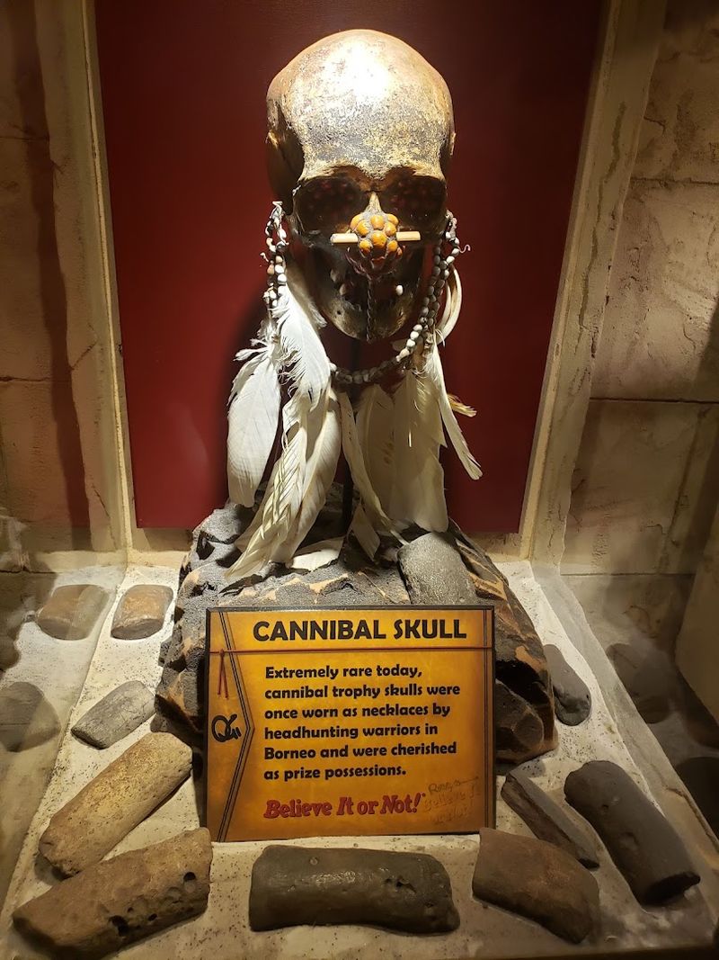 Ripley&rsquo;s Believe It or Not! Orlando (Orlando)