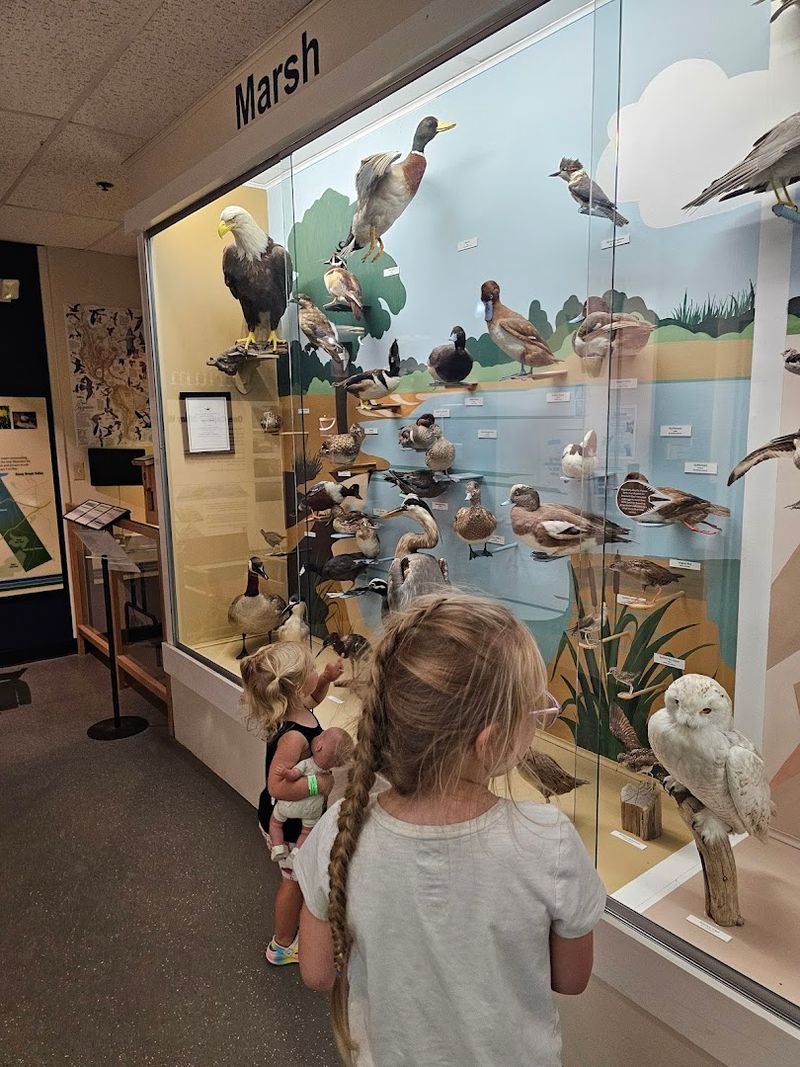 Cape Cod Museum of Natural History (Brewster)