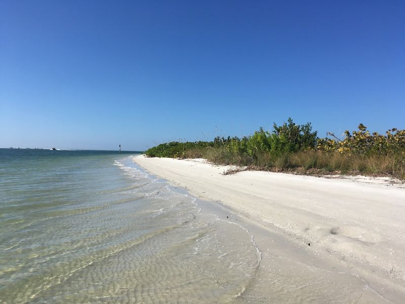 Shell Key Preserve