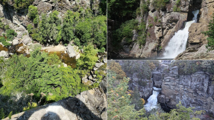 One North Carolina Waterfall Trail Feels Straight Out of a Nature Documentary