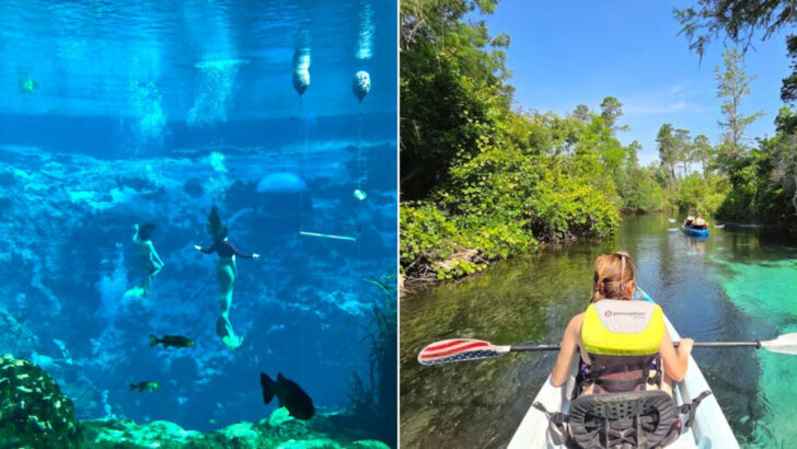 One State Park Stands Out for Deep Freshwater Caves and an Unexpected Mermaid Experience