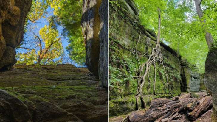 One of Ohio&rsquo;s Most Unique Parks Looks Like a Natural Stone Maze