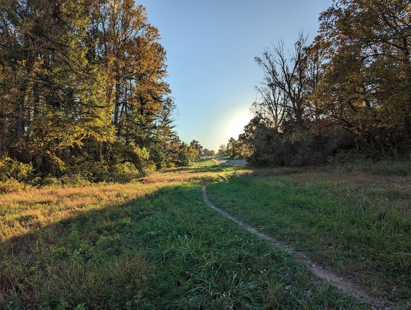 Scenic Trails Through Woodlands and Meadows