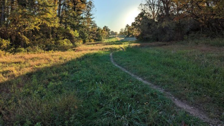 One of Pennsylvania&rsquo;s Highest Rated Parks Is Hidden Near Newtown
