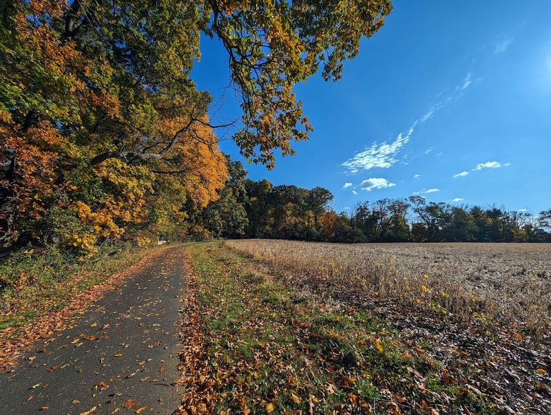 Excellent Biking and Paved Multi-Use Paths