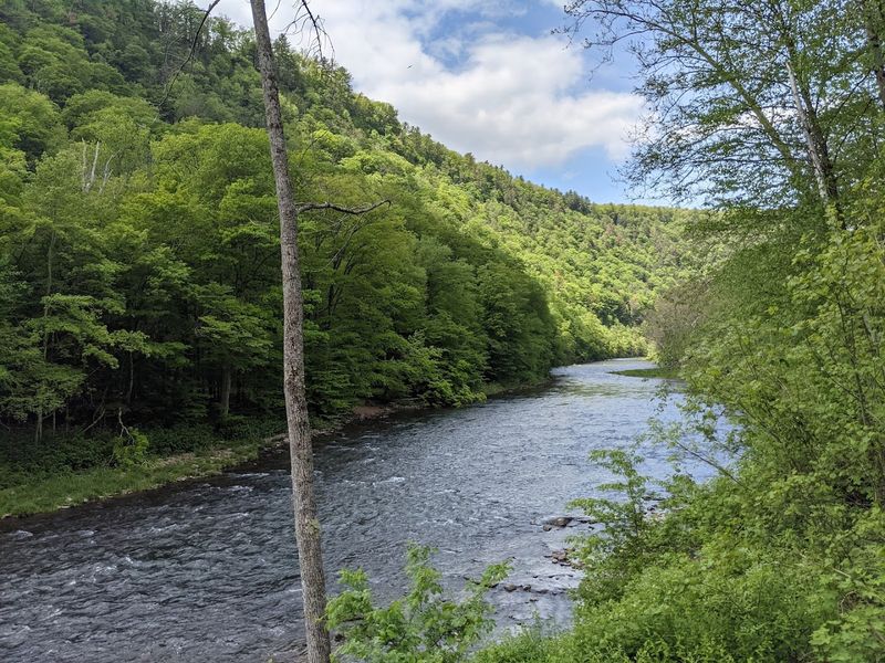 Pine Creek Flowing Through the Gorge Below