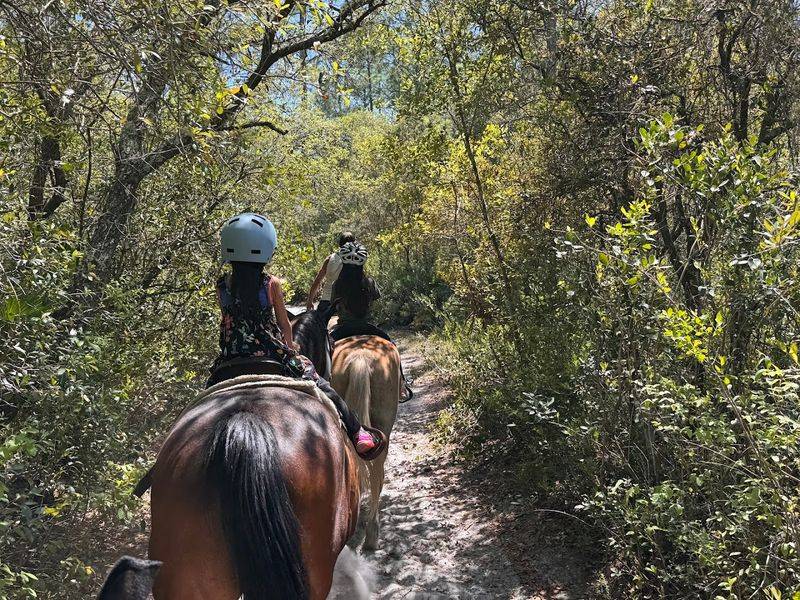 Makin' Tracks Trail Rides (Fort McCoy)
