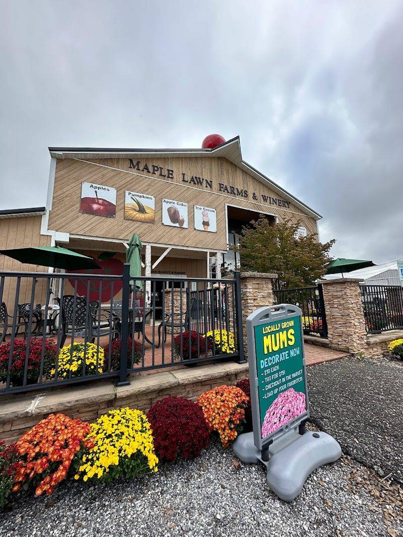 Maple Lawn Farms
