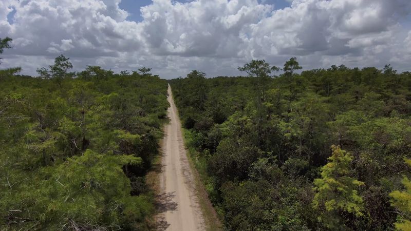 Loop Road 