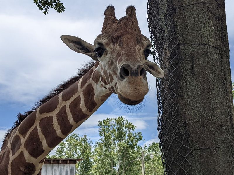 Close-Up Encounters That Grab Kids' Attention
