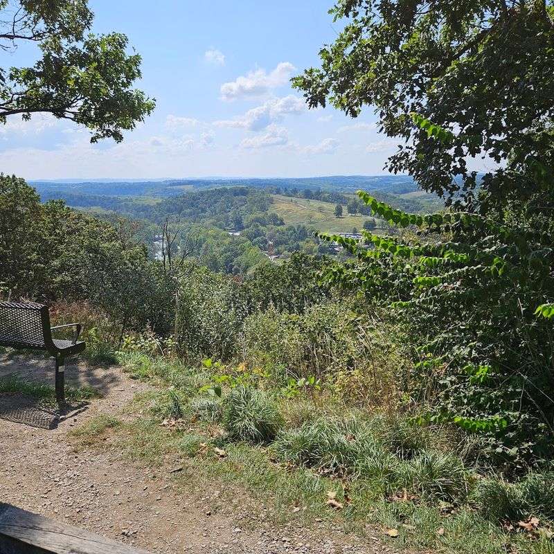 Shaded Paths and a Scenic Preserve Setting