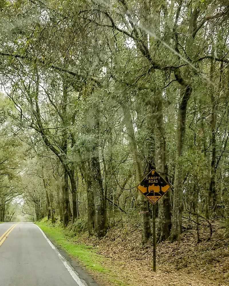 Miccosukee Road