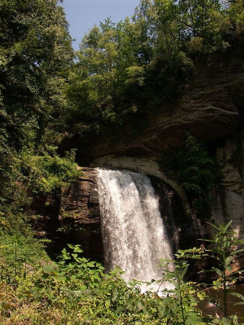 Looking Glass Rock Climbing and Trails - Brevard, Transylvania County