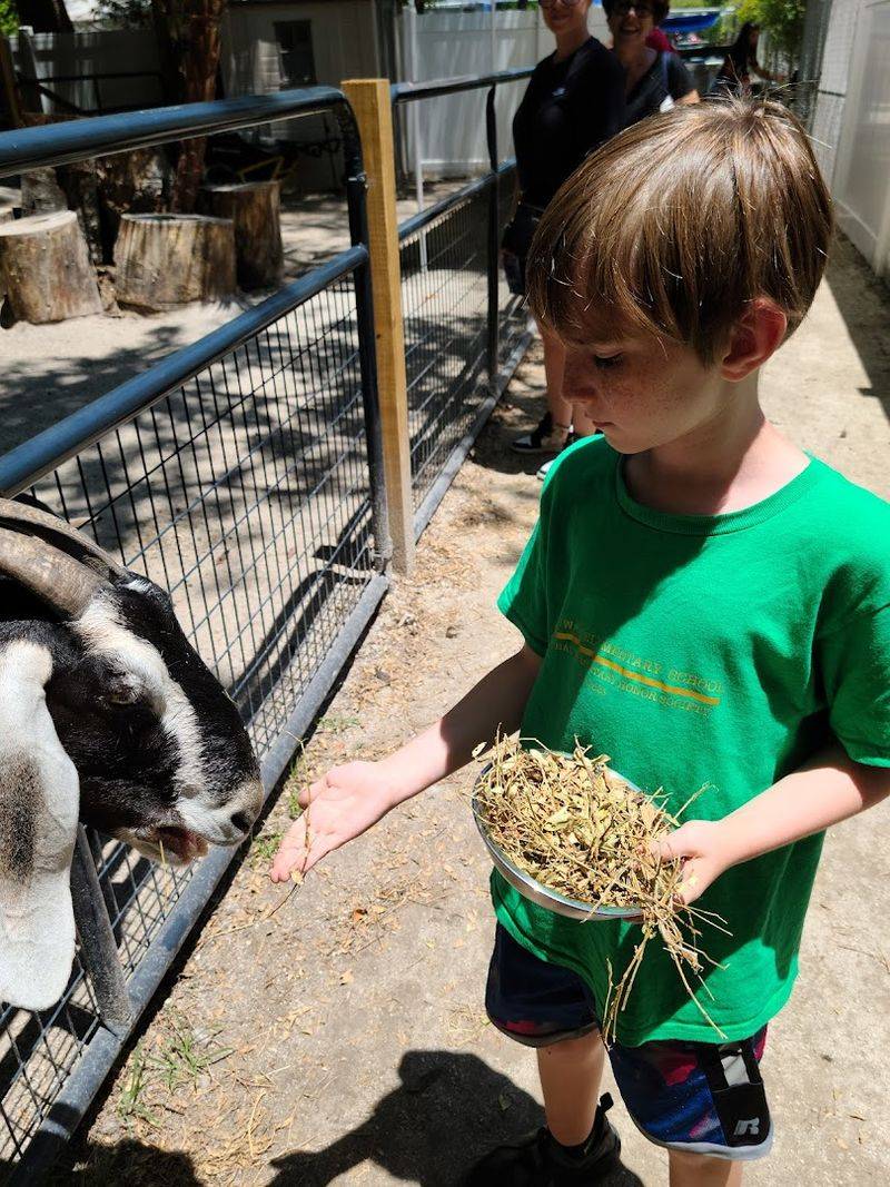 Tarpon Springs Aquarium and Animal Sanctuary