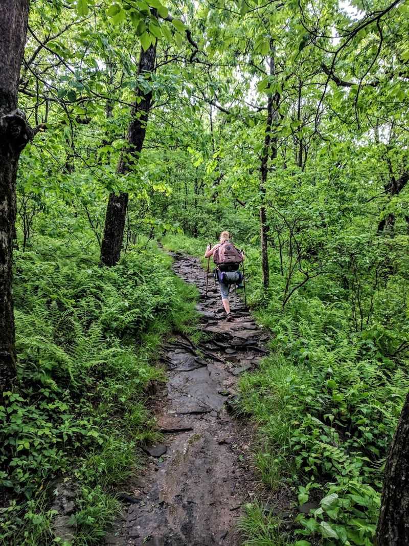 Springer Mountain (Southern Terminus of the Appalachian Trail)