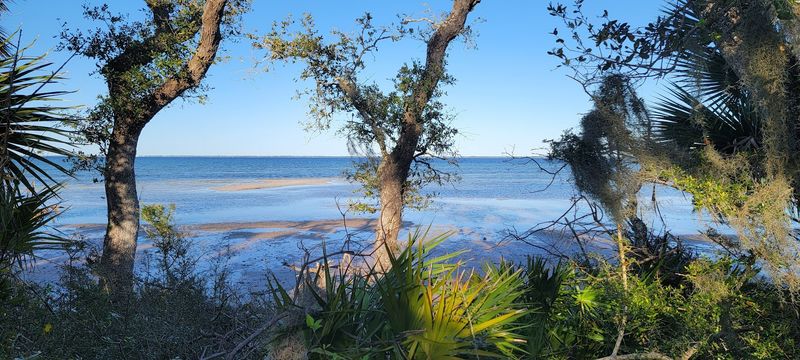 Cape San Blas, Gulf County