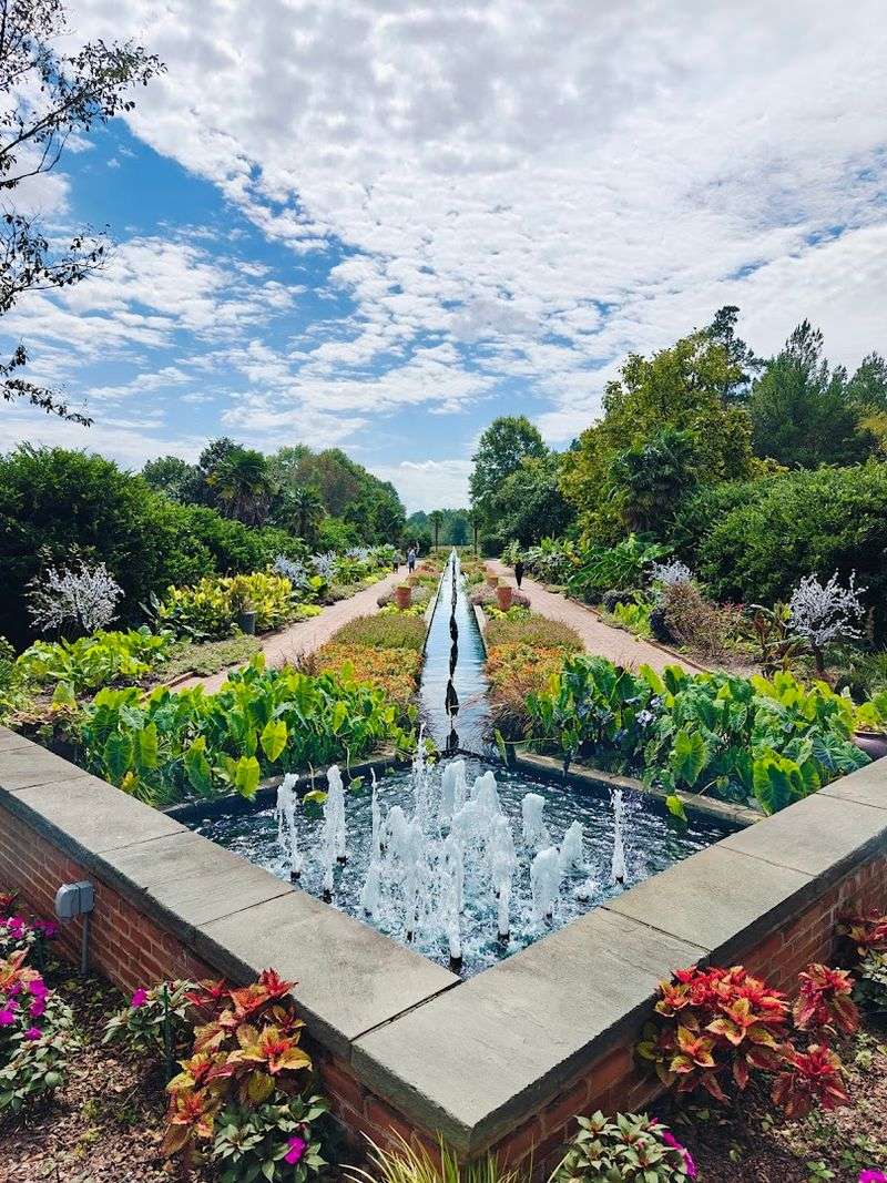 Daniel Stowe Botanical Garden