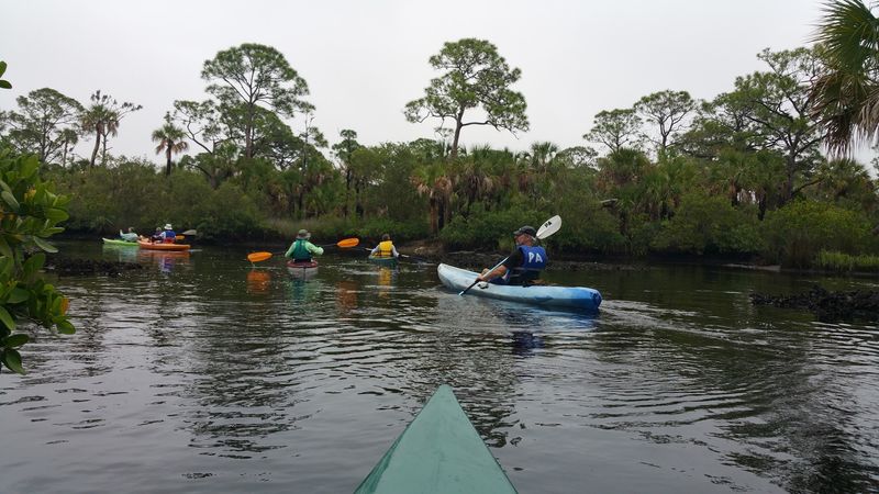 Werner-Boyce Salt Springs State Park