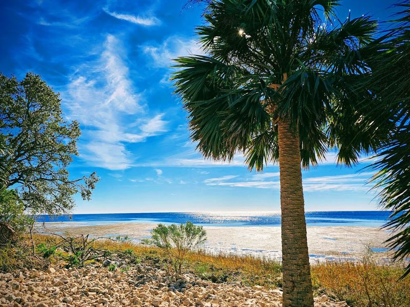 St. Marks National Wildlife Refuge