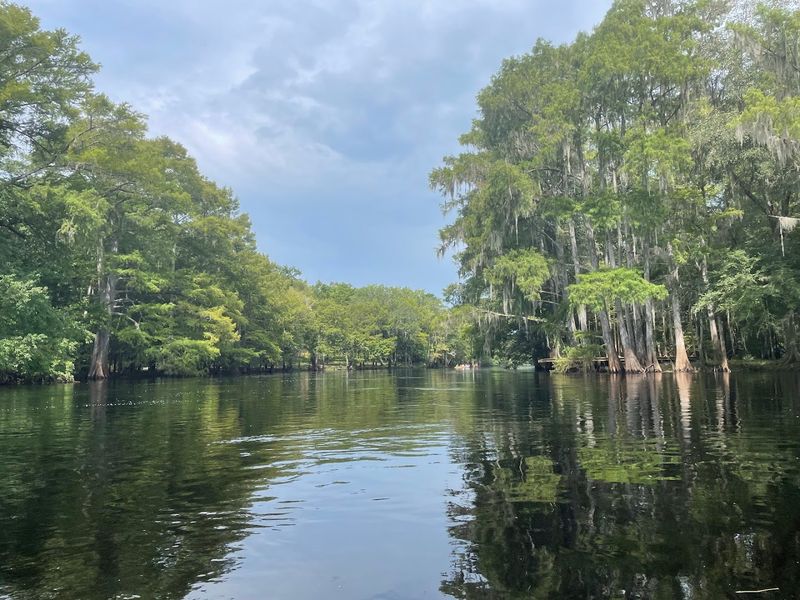 Santa Fe River (North Central FL)