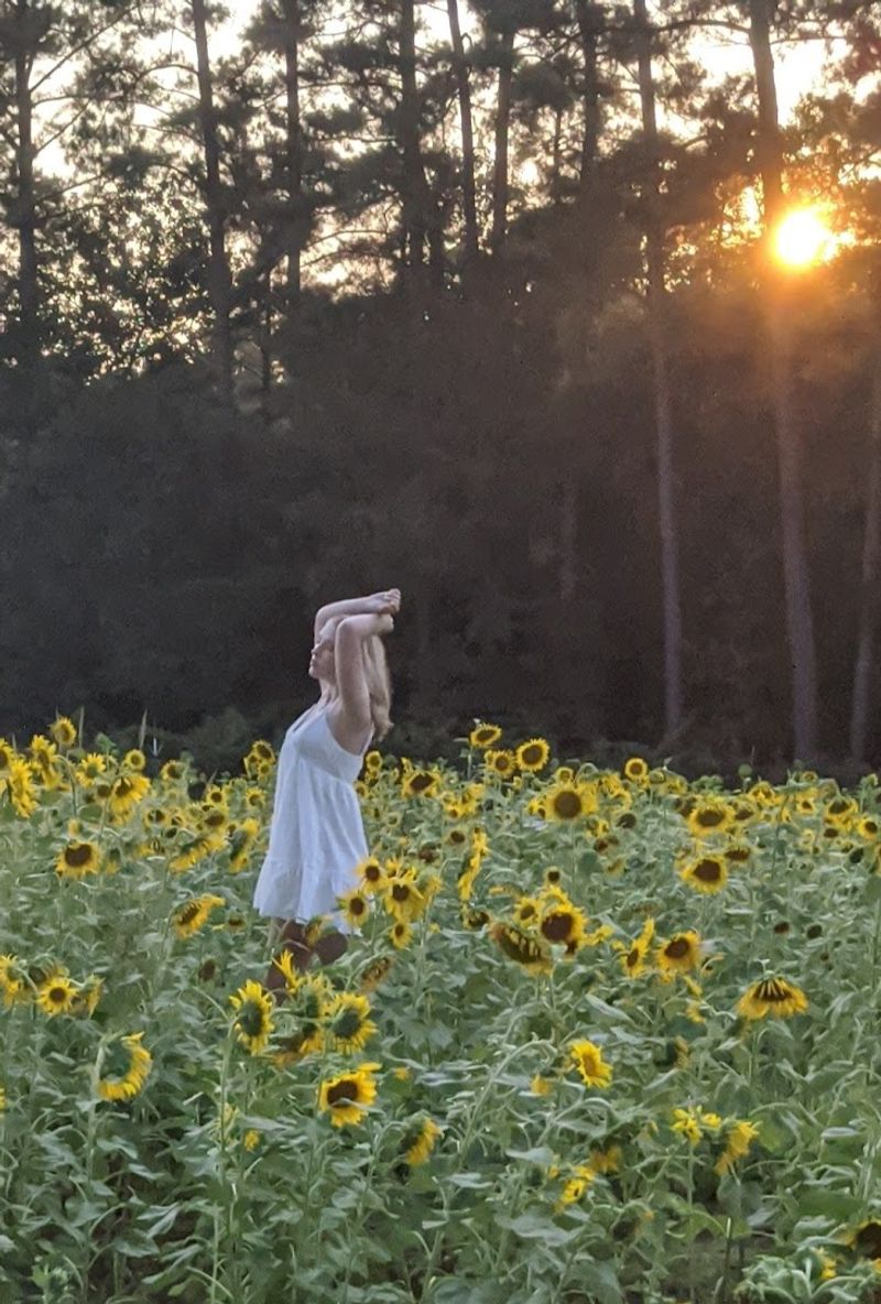 Picture-Perfect Farm Photo Opportunities