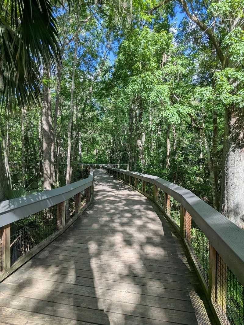 Trails Through Ancient Florida