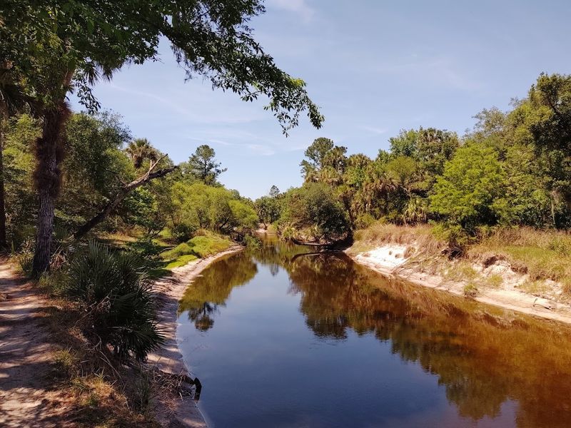 Seasonal Transformations of the River