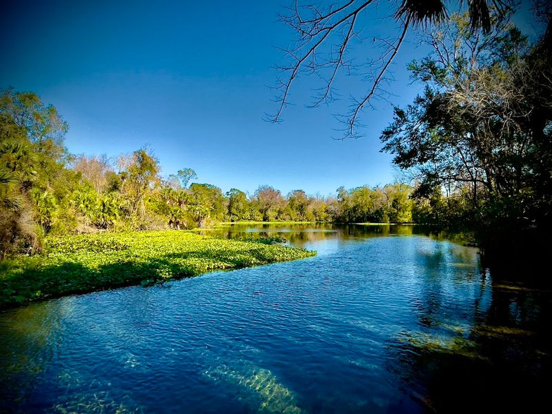 The First Glimpse Of Wekiwa Springs