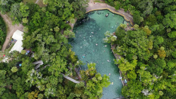 Peaceful Trails And Crystal Water Make This Florida Park A Local Favorite