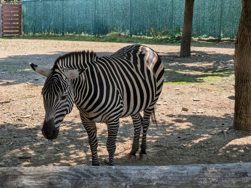 Over 100 Species in One Easy Visit