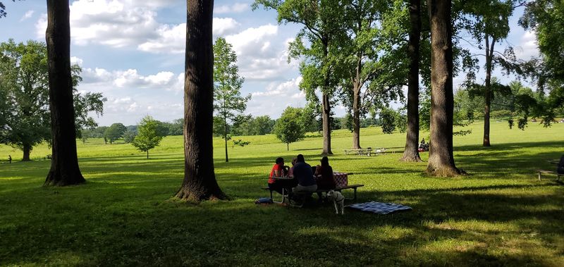 Wayne's Woods Picnic Area