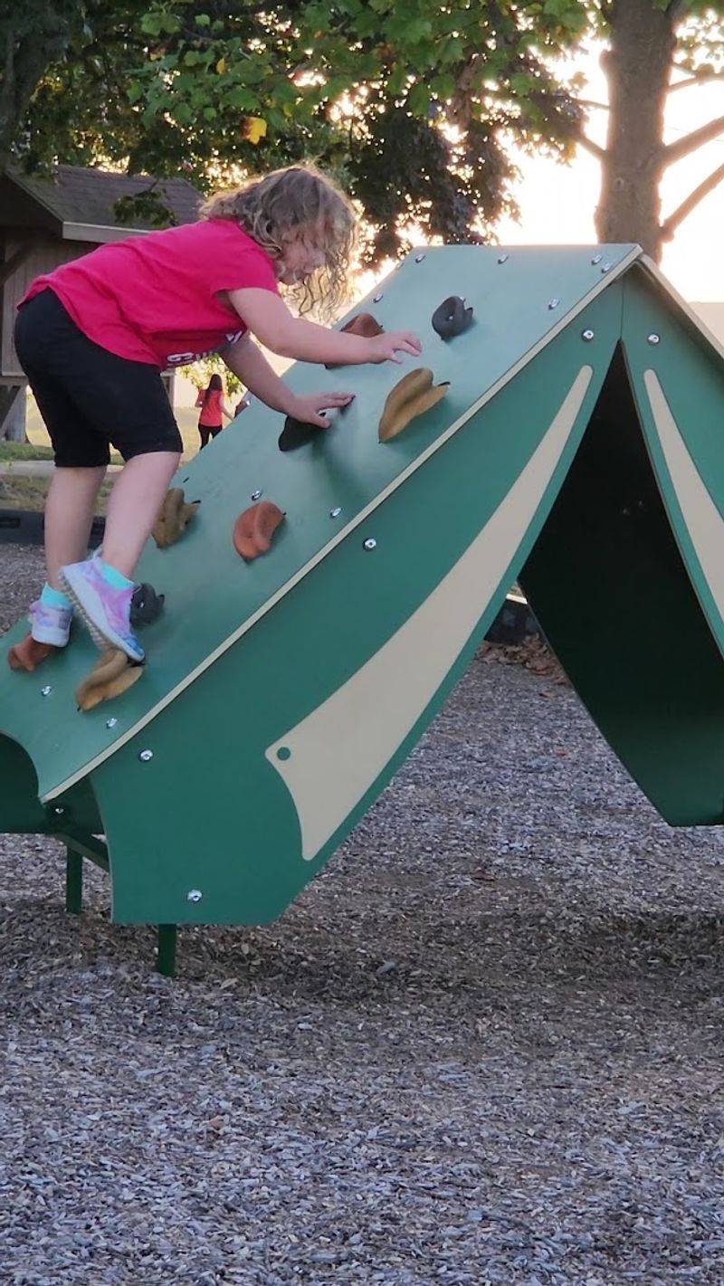 Playground Adventures for the Young at Heart